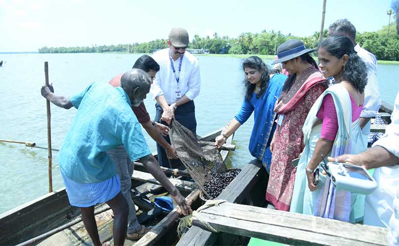 വേമ്പനാട് കായലിൽ കറുത്ത കക്കയ്ക്ക് പുതുജീവൻ  സിഎംഎഫ്ആർഐ പുനരുജ്ജീവന പദ്ധതി വിജയം 