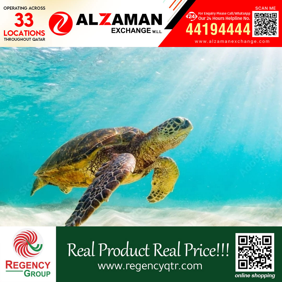 ഖത്തറിൽ കടലാമകളുടെ പ്രജനന കാലത്തിന് തുടക്കമായി