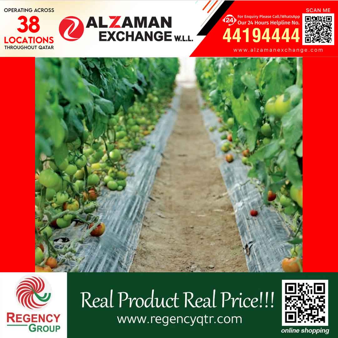 ​പൗൾട്രി, പാൽ ഉൽപ്പന്ന മേഖലകളിൽ 99% സ്വയംപര്യാപ്തത കൈവരിച്ച് ഖത്തർ; ഉത്പാദനം 30% വർദ്ധിപ്പിക്കാൻ നഗരസഭ മന്ത്രാലയം