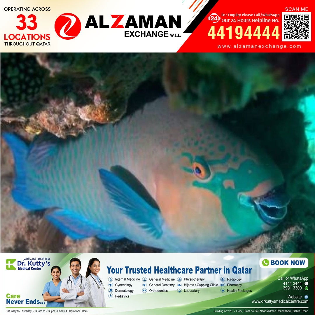 ഖത്തർ തീരത്ത് പാരറ്റ് ഫിഷിന്റെ സാന്നിധ്യം: സമുദ്ര ആവാസവ്യവസ്ഥ ആരോഗ്യകരമെന്ന് പരിസ്ഥിതി 