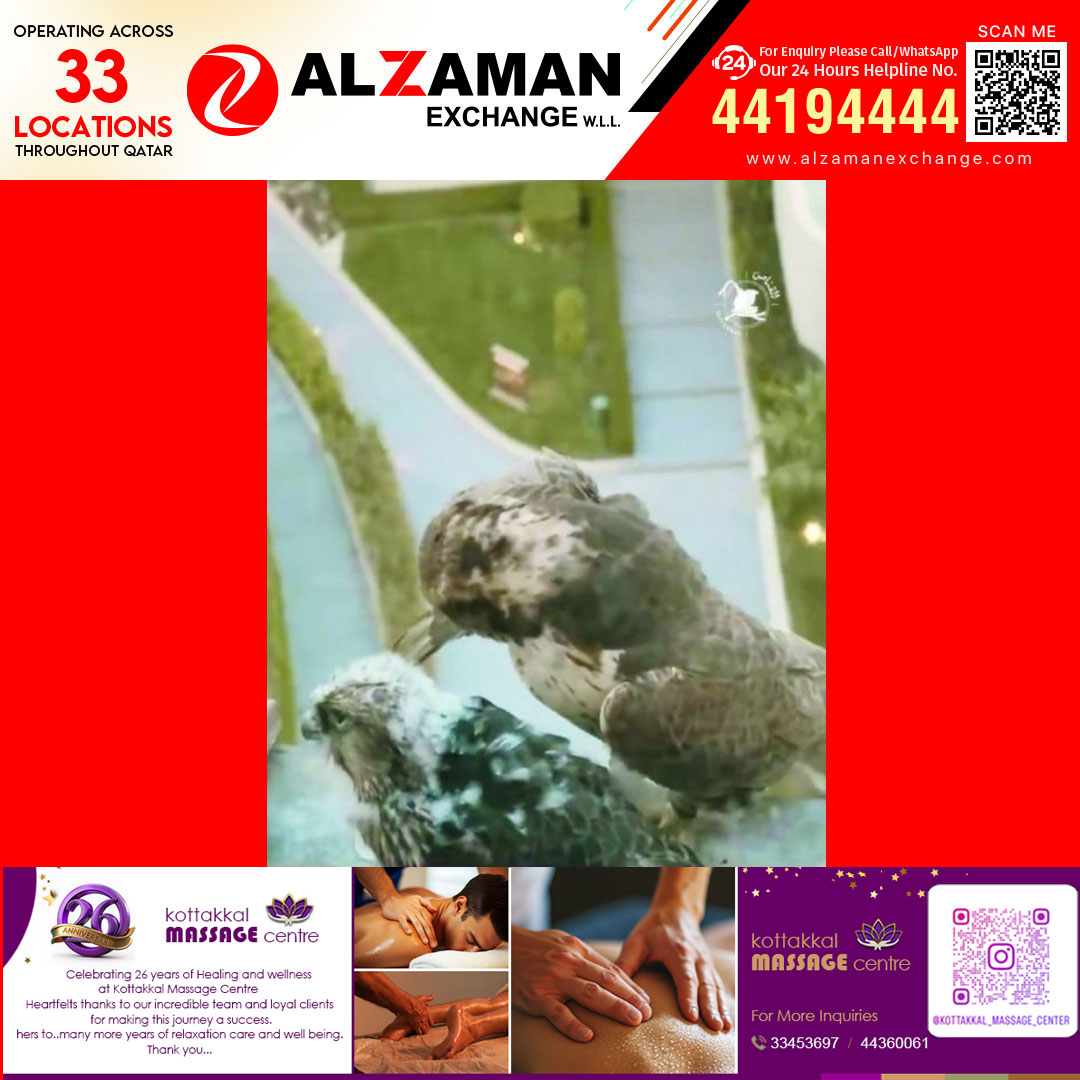 ദോഹയുടെ ആകാശഗോപുരങ്ങളിൽ വിരുന്നെത്തി അപൂർവ അതിഥികൾ; ഖത്തറിൽ ആദ്യമായി നഗരമധ്യത്തിൽ ഫാൽക്കണുകളുടെ പ്രജനനം