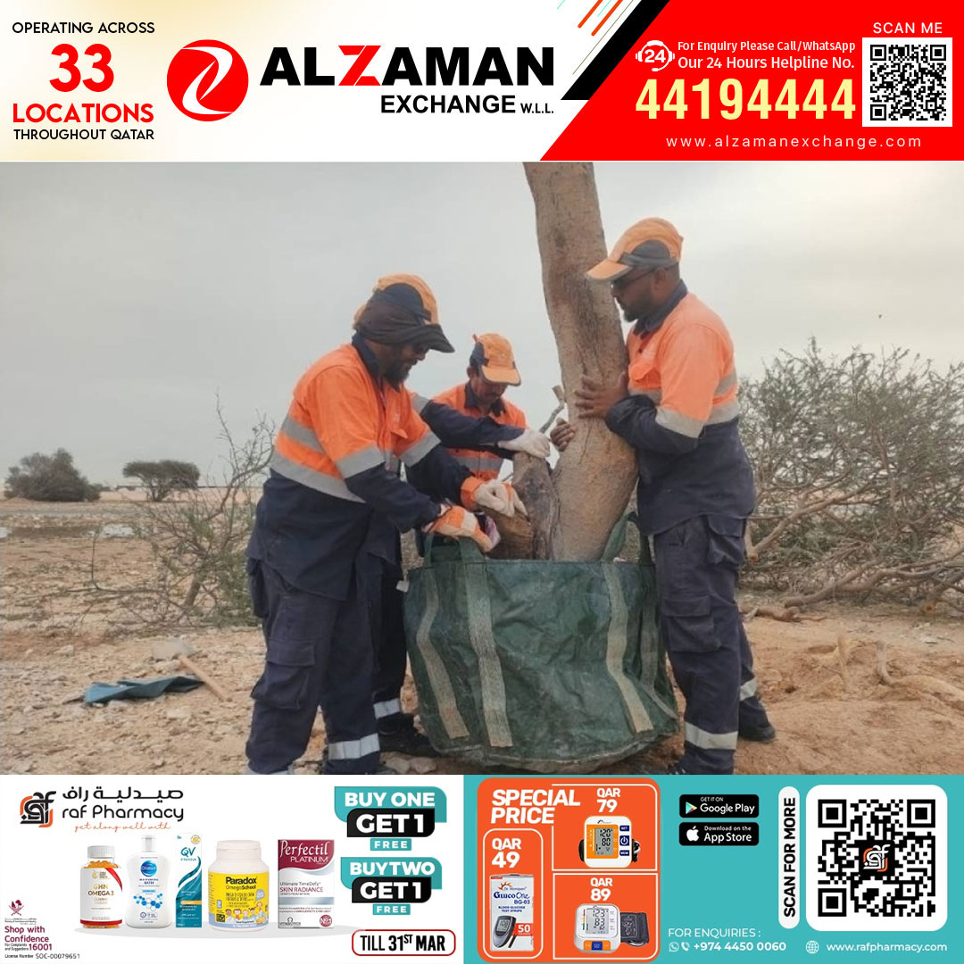 തളരാതെ തണൽമരങ്ങൾ; മഴക്കെടുതിയിൽ ഉലഞ്ഞമരങ്ങളെ ചേർത്തുപിടിച്ച് ഖത്തർ