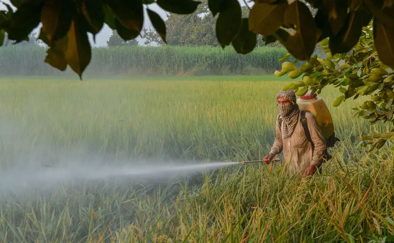 കീടനാശിനി വാങ്ങുന്നതും വിൽക്കുന്നതും സൂക്ഷിക്കുന്നതും ഇനി പഴയപോലെ എളുപ്പമാകില്ല