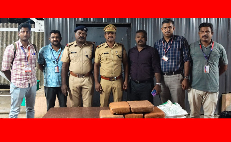 ചെങ്ങന്നൂരിൽ വൻ കഞ്ചാവ് വേട്ട 