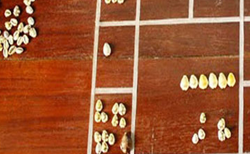 27 നക്ഷത്രജാതരുടെയും നാളത്തെ നക്ഷത്രഫലം: 24 ജനുവരി 2026