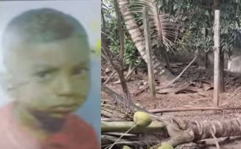 തെങ്ങ് കടപുഴകി വീണ് അഞ്ച് വയസ്സുകാരന് ദാരുണാന്ത്യം