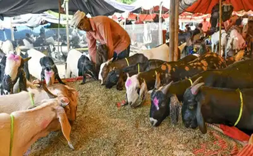 ഉത്തരേന്ത്യയിൽ ബക്രീദിന് ബലിമൃഗ വിൽപ്പനയ്ക്കും ഈദ് നമസ്കാരത്തിനും നിയന്ത്രണങ്ങൾ