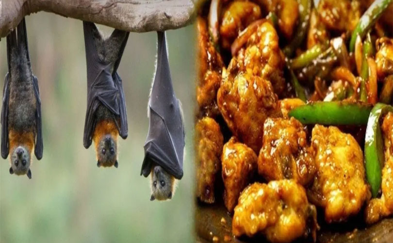 കോഴിയിറച്ചിയെന്ന പേരിൽ വവ്വാലിന്റെ മാംസം വിറ്റ രണ്ടുപേർ പിടിയിൽ 