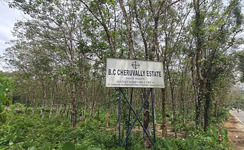 ചെറുവള്ളി എസ്റ്റേറ്റ്: ദൂരവ്യാപക പ്രത്യാഘാതം ഉണ്ടാക്കുന്ന വിധി