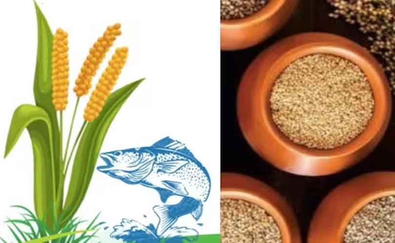 മീനിനൊപ്പം ചെറുധാന്യ രുചിക്കൂട്ടുകൾ: മില്ലറ്റും മീനും പ്രദർശന-ഭക്ഷ്യമേള കൊച്ചിയിൽ 