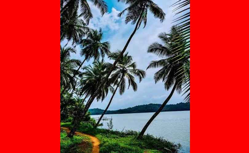 പരിശീലന കാലത്ത് 10,000 രൂപ സ്റ്റൈപൻഡ്; പഠിച്ച് കഴിഞ്ഞാൽ മികച്ച ശമ്പളവും മറ്റ് ആനുകൂല്യങ്ങളും; തെങ്ങിൽ കയറിയാൽ തലകറങ്ങാത്ത ചെറുപ്പക്കാർക്ക് ജോലി ഉറപ്പിച്ച് ടോഡി ബോർഡ്