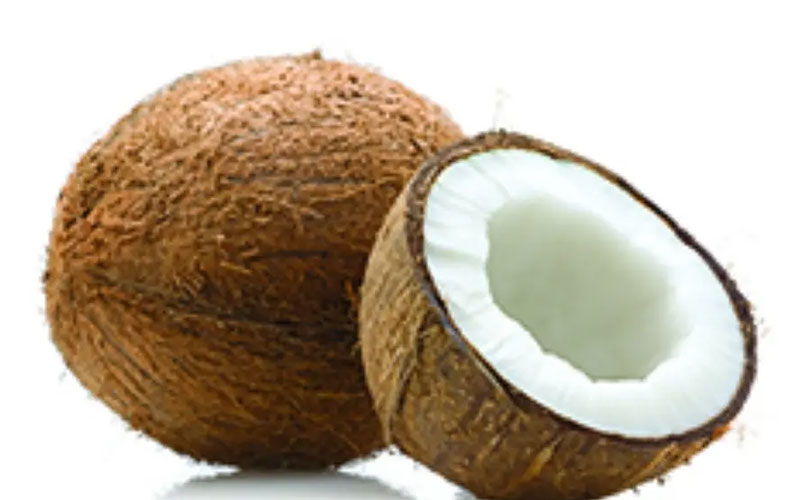 ഒരു തേങ്ങയ്ക്ക് എട്ടു ലക്ഷം രൂപ; കാരണം അറിഞ്ഞാൽ അതിലും കൗതുകം! 
