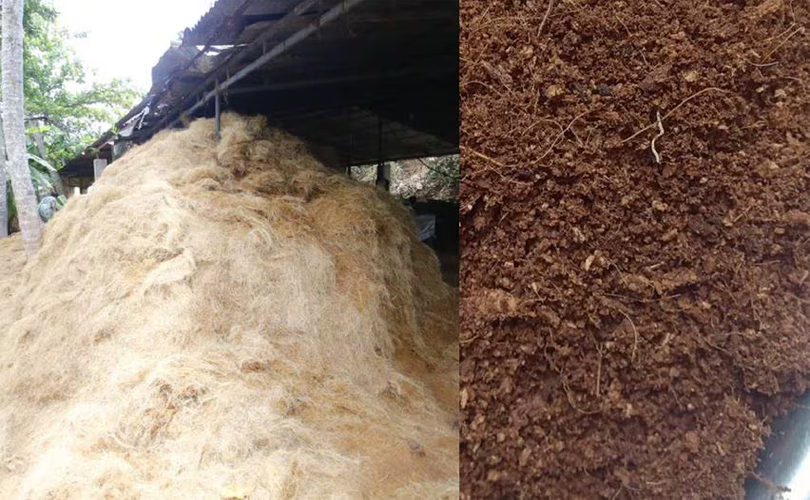 ചകിരിച്ചോറ് വിറ്റ് ഇന്ത്യ നേടിയത് 13,000 കോടി രൂപ