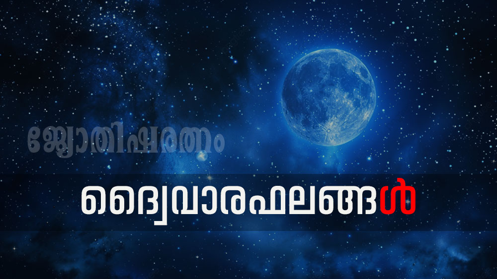 ദ്വൈവാരഫലങ്ങൾ ; 2025 ഫെബ്രുവരി 1 മുതൽ 15 വരെ (1200 മകരം 19 മുതൽ കുംഭം 3 വരെ)