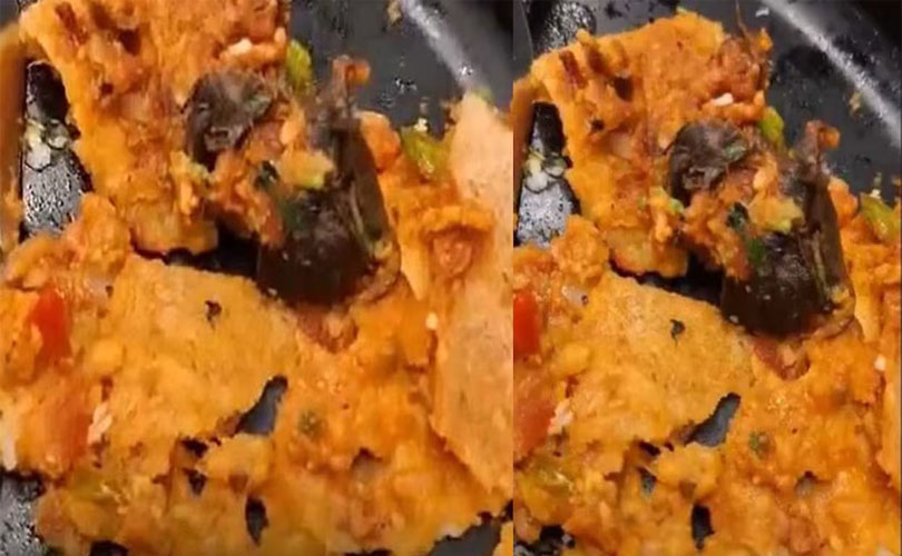 ദോശയിൽ ചത്ത എലി; ഹോട്ടൽ ഉടമയോട് ആവശ്യപ്പെട്ടത് 25 ലക്ഷം രൂപ; രണ്ട് യുവതികൾ അറസ്റ്റിൽ