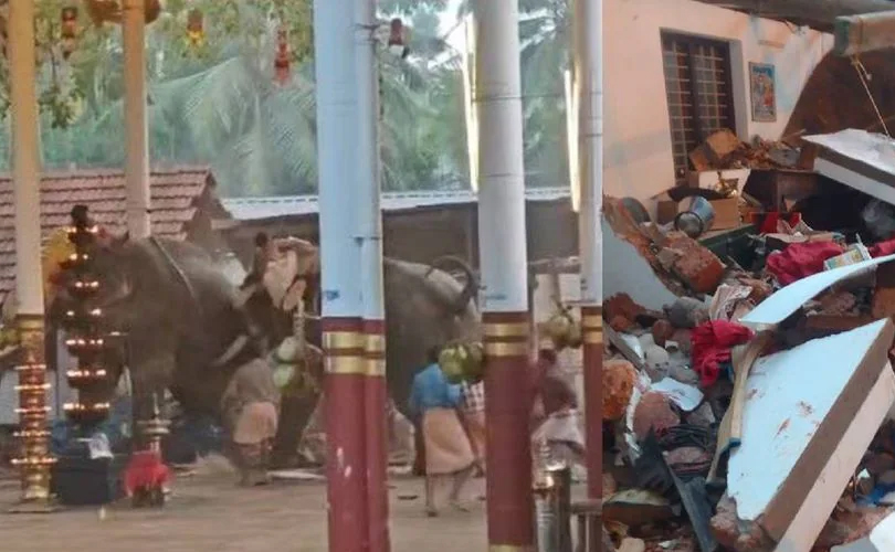  കൊയിലാണ്ടിയിൽ ഉത്സവത്തിനിടെ ആനകൾ തമ്മിൽ കുത്ത്; തിരക്കിൽപെട്ട് മൂന്നുപേർ മരിച്ചു