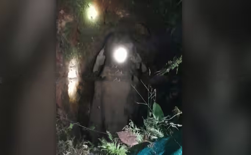 മലപ്പുറത്ത് കാട്ടാന കിണറ്റിൽ വീണു