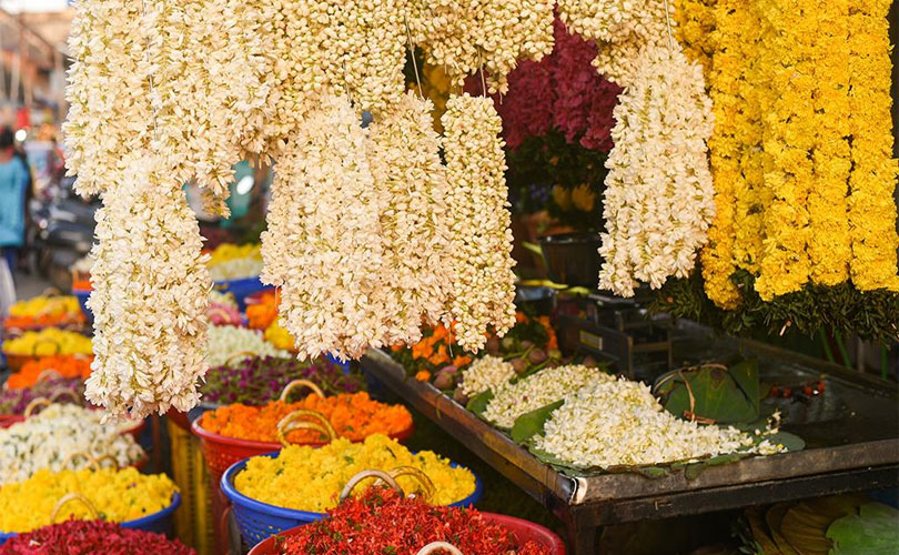 പൂവേ, പൊന്നാണോ..! കിലോ 6000 രൂപയായി; ഓണത്തിന പൂക്കളമൊരുക്കാൻ പൂവ് വാങ്ങിയാൽ പോക്കറ്റ് കാലിയാകും
