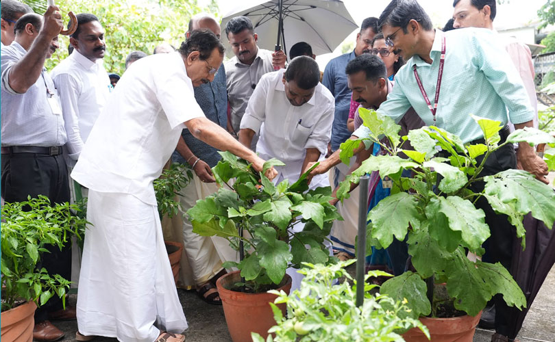  ‘ഓണത്തിന് ഒരു മുറം പച്ചക്കറി’ പദ്ധതിയുടെ വിളവെടുപ്പ് നടന്നു.