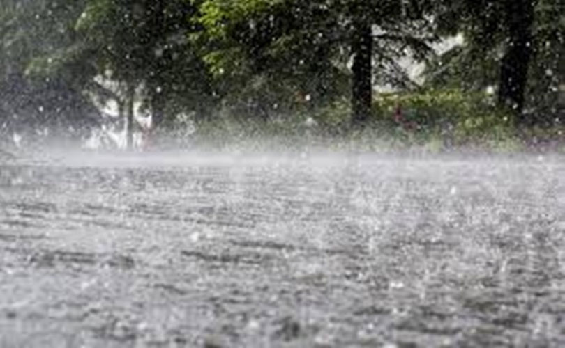 കനത്ത മഴയിൽ 28 മരണം; 41,773 പേർ ക്യാംപുകളിൽ; 8 ജില്ലകളിൽ ഇന്ന് അവധി