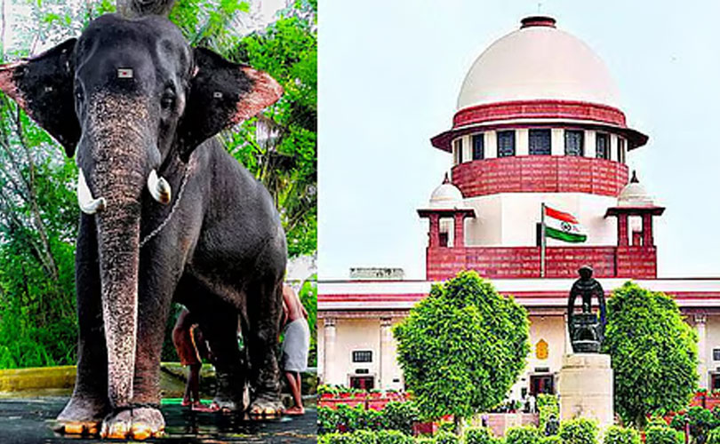 കോടതികൾക്ക് ‘മൂകസാക്ഷികളാകാൻ’ കഴിയില്ല: കേരളത്തിലെ ഏറ്റവും ഉയരമുള്ള ആന ‘രാമനെ’ സർക്കാർ ഏറ്റെടുക്കാൻ സുപ്രീം കോടതി ഉത്തരവ്