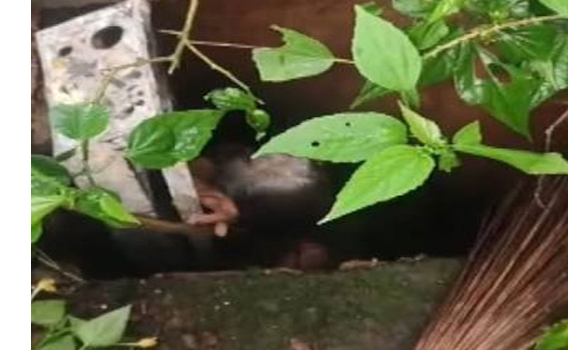 സെപ്റ്റിക് ടാങ്കിൽ വീണ് കുടുങ്ങിയ സീരിയൽ നടി വസന്തകുമാരിയമ്മയെ മണിക്കൂറുകൾ നീണ്ട രക്ഷാപ്രവർത്തനത്തിനൊടുവിൽ പുറത്തെടുത്തു