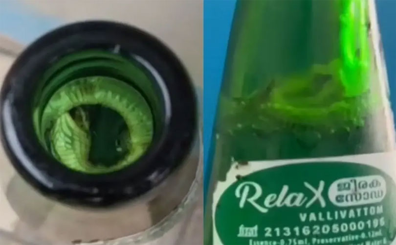 കുടിക്കാൻ വാങ്ങിയ ജീരക സോഡയ്ക്കുള്ളിൽ ചത്ത പാമ്പ് 