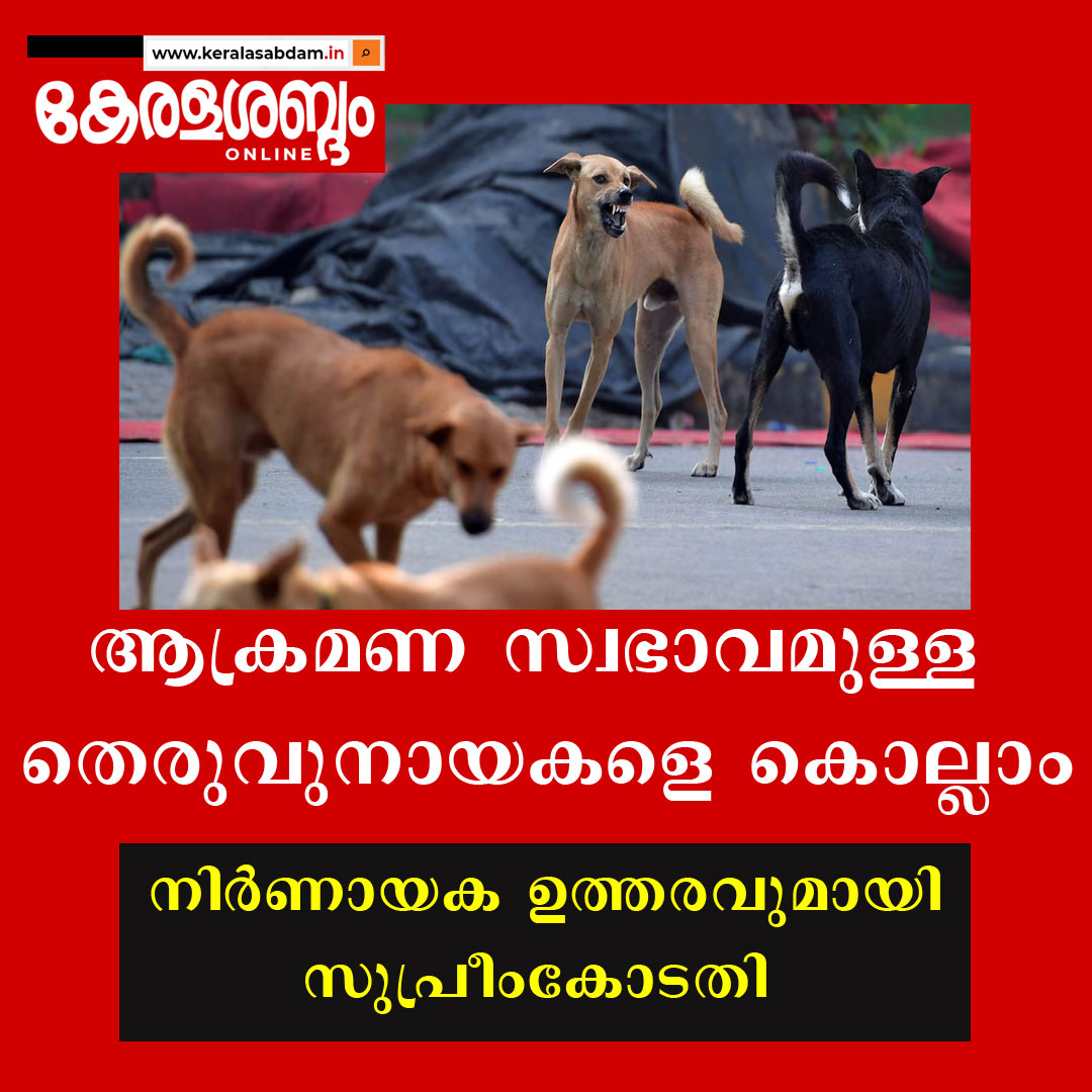 ആക്രമണ സ്വഭാവമുള്ള തെരുവുനായകളെ കൊല്ലാമെന്ന് സുപ്രീംകോടതി