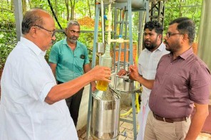 കാട്ടാനാശല്യം വനാതിർത്തിയിൽ ഇഞ്ചിപ്പുൽ കൃഷിക്ക് ഐസിഎആർ പദ്ധതി 