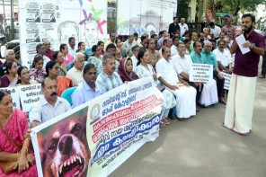 തെരുവ് നായ ശല്യം  റെസിഡന്റ്‌സ് അപ്പെക്സ് കൗൺസിൽ സമരം നടത്തി 