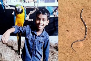  വീടിനുള്ളിൽ ഉറങ്ങിക്കിടക്കവെ പാമ്പുകടിയേറ്റ് എട്ടുവയസ്സുകാരൻ മരിച്ചു