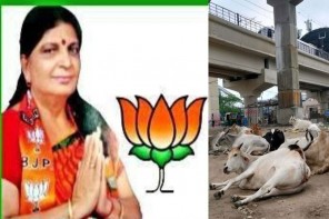 പശുവിന്റെ ആക്രമണത്തിൽ ബിജെപി വനിതാ നേതാവിന് ഗുരുതര പരുക്ക്
