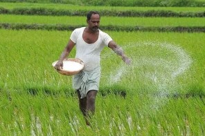 ​കർഷകരെ പറ്റിച്ച് ക്ഷേമനിധി ബോർഡ്; ഒന്നാം സർക്കാർ തുടങ്ങി, രണ്ടാം സർക്കാർ പൂട്ടി, ഇനി യു.ഡി.എഫിൽ പ്രതീക്ഷ