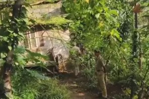 മദ്യലഹരിയിൽ ബന്ധുവിനെ കുത്തിക്കൊലപ്പെടുത്തിയയാൾ പിടിയിൽ 