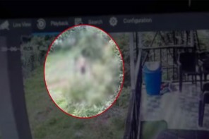 ഇടുക്കിയിലെ റിസോർട്ടിൽ നാല് വയസുകാരന് ക്രൂരമർദനം