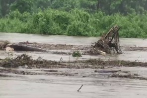 വടക്കുകിഴക്കൻ സംസ്ഥാനങ്ങളിൽ മഴക്കെടുതി; അസമിൽ 45,000 പേർ ദുരിതത്തിൽ
