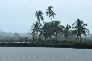 ഇന്ന് മൂന്നു ജില്ലകളിൽ ശക്തമായ മഴയ്ക്ക് സാധ്യത
