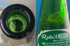 കുടിക്കാൻ വാങ്ങിയ ജീരക സോഡയ്ക്കുള്ളിൽ ചത്ത പാമ്പ് 