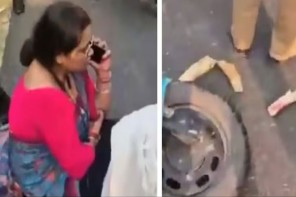 അധ്യാപികയായ യുവതി ഓടിച്ച സ്കൂട്ടറിടിച്ച് കാട്ടാനയുടെ കൊമ്പ് മൂന്നായി ഒടിഞ്ഞു 